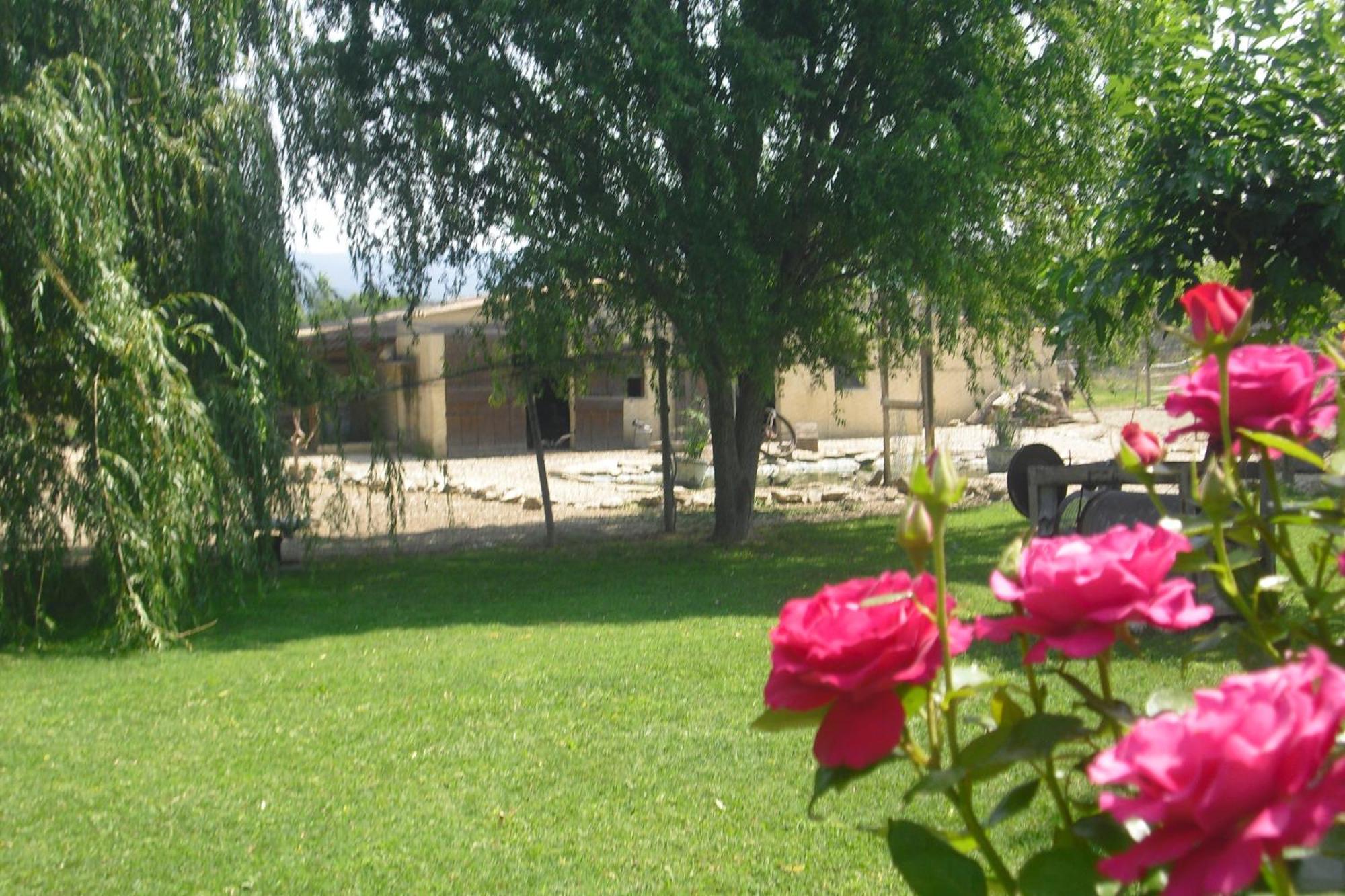 Lou Mas Li Pitchoun "Le Prunier " Apartment Gordes Exterior photo